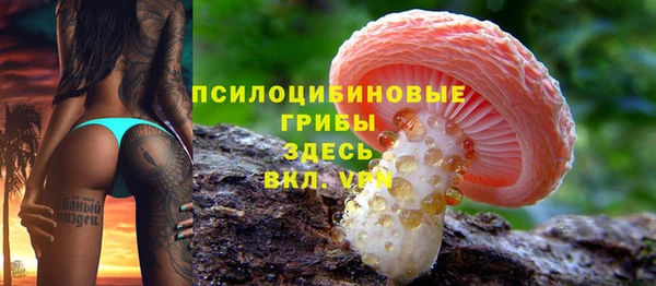 стаф Арсеньев