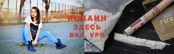 стаф Арсеньев