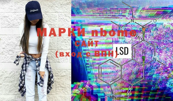 стаф Арсеньев