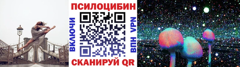 Псилоцибиновые грибы Cubensis  Купить закладки  Мичуринск 